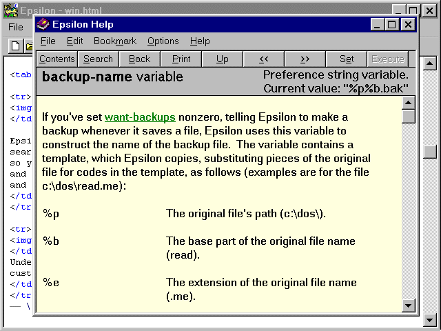 The Complete Epsilon Manual On-line